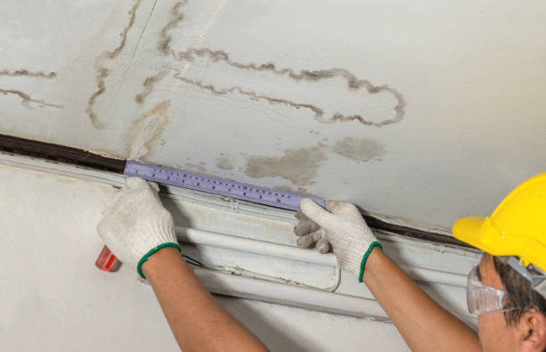 Reliable Water Damage contractor in Spruce Pine, AL by Water Damage Irwin